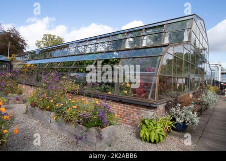 Die Außenseite des tropischen Hauses, umgeben von Sommerblumen, Inverness Botanic Gardens, Inverness, Schottland, Großbritannien Stockfoto