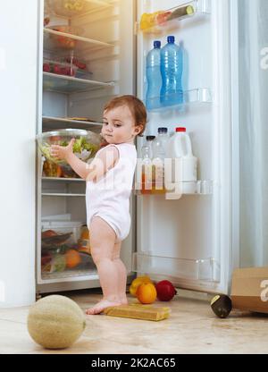 Sie sagten, sie würden beim Abendessen helfen, es werde Spaß machen, sagten sie. Aufnahme eines Kleinkindes, das Lebensmittel aus dem Kühlschrank isst. Stockfoto