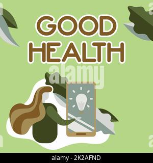 Textzeichen für gute Gesundheit. Geschäftskonzept Zustand des lebhaften und frei von einer körperlichen oder psychischen Krankheit Lady drückt Bildschirm des Mobiltelefons zeigt die futuristische Technologie. Stockfoto