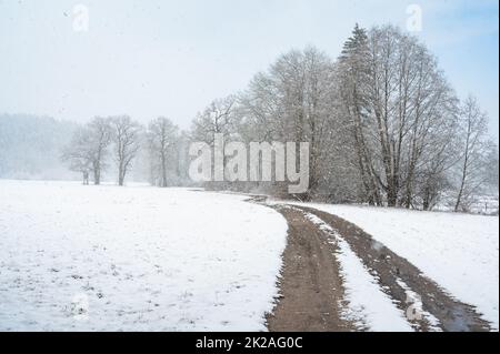 Schneefall in Oberbayern Stockfoto