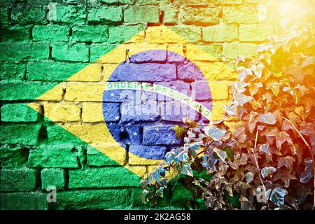 Brasilianische Grunge-Flagge an der Backsteinwand mit Blick auf die Efeu-Pflanze und den Dunst Stockfoto