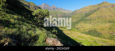 Panoramablick auf die Drakensberge Stockfoto