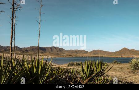 Playa de los Genoveses Stockfoto