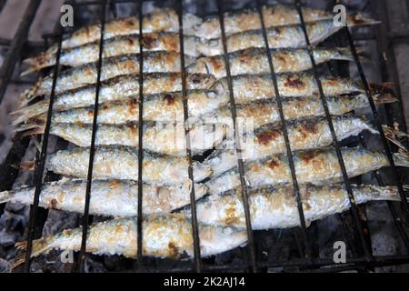 Frische Sardinen, zubereitet auf dem Grill Stockfoto