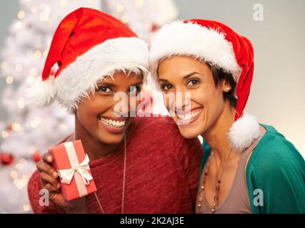 Wir lieben die Weihnachtszeit. Ein Porträt von zwei glücklichen Wettfreunden zur Weihnachtszeit. Stockfoto