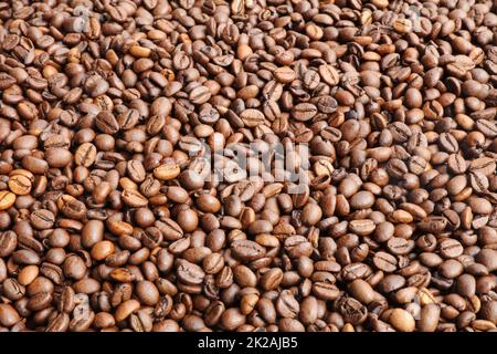Kaffee Bohnen Stockfoto