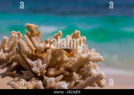 Eheringe auf Korallen am Strand. Flitterwochen in Thailand. Stockfoto