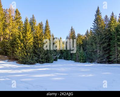 Bei Felixer Weiher Stockfoto