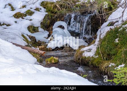 Bei Felixer Weiher Stockfoto