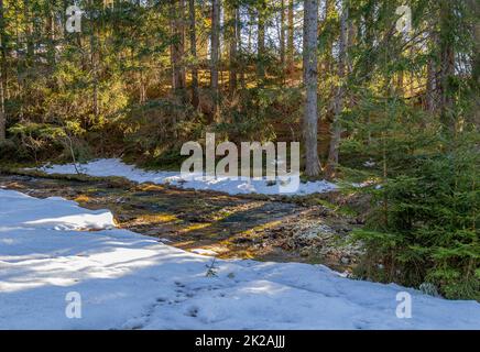 Bei Felixer Weiher Stockfoto