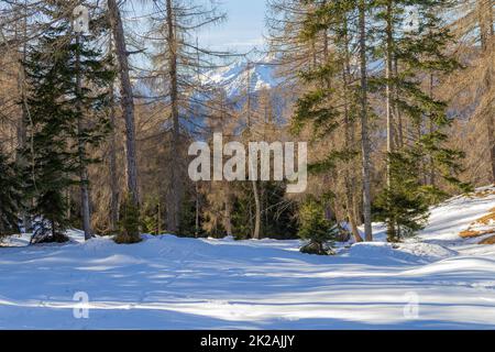 Bei Felixer Weiher Stockfoto