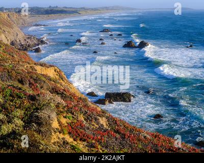 Rollende Wellen, die auf die zerklüftete Küste der Bodega Bay, Kalifornien, zuschlagen Stockfoto