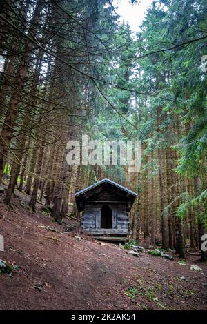 Kleine Holzkabine in einem dunklen Tannenwald Stockfoto