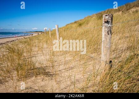 Sanddüne und Zaun an einem Strand, Re Island, Frankreich Stockfoto