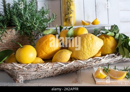 Verschiedene frische Zitrusfrüchte Stockfoto