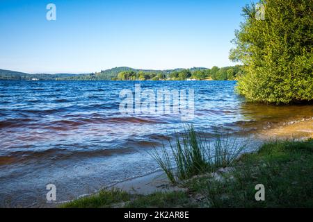 See von Vassiviere Feld und Wald Stockfoto