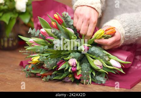 Tolle Tulpen. Ein kurzer Schuss einer Frau, die einen Blumenstrauß vorbereitet. Stockfoto