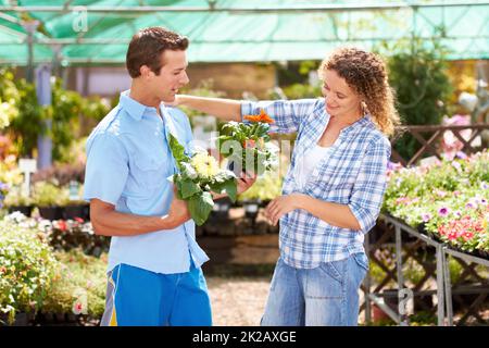 Was ist mit diesen. Eine kurze Aufnahme eines jungen Paares, das in einer Boutique Blumen pflückt. Stockfoto