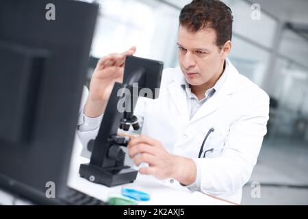 Testen einer neuen Substanz. Ein Wissenschaftler, der eine Petrischale durch ein Mikroskop betrachtet. Stockfoto