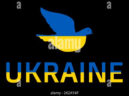 Die fliegende Taube symbolisiert das freie Land der Ukraine. Das Konzept ist ein flatternder Vogel, der in den Farben der ukrainischen Nationalflagge gemalt ist. Symbol der Unabhängigkeit. Vektordarstellung auf schwarzem Hintergrund. Stockfoto