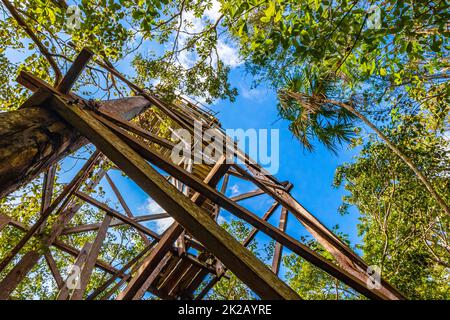 Hölzerner Aussichtsturm, tropischer Dschungel, Muyil Lagoon Panorama Mexiko. Stockfoto