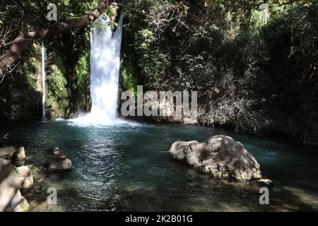 Wasserfall im Naturschutzgebiet Banyas im oberen Galiläa. Israel Stockfoto