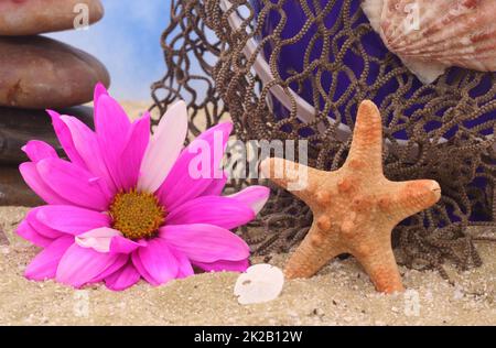 Meeresmuscheln mit Blumen und Seesternen am Strand Stockfoto