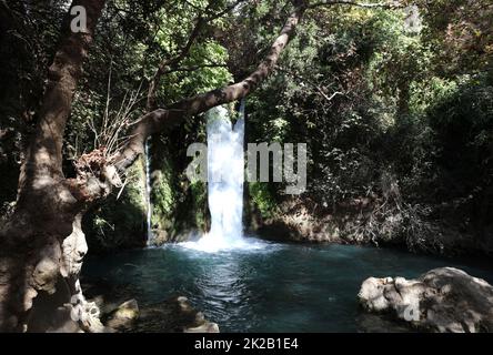 Wasserfall im Naturschutzgebiet Banyas im oberen Galiläa. Israel Stockfoto