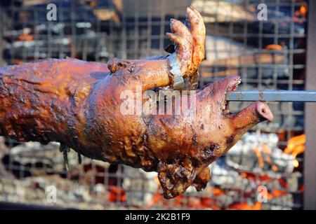 Ferkelbraten auf dem Brennholz in Deutschland Stockfoto