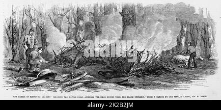 Die Schlacht von Pittsburg Landing - das Schlachtfeld klären - die toten Pferde in der Nähe des Pfirsichorchestrs verbrennen. April 1862. Schlacht von Shiloh, Tennessee. Illustration des amerikanischen Bürgerkriegs des 19.. Jahrhunderts aus Frank Leslie's Illustrated Newspaper Stockfoto