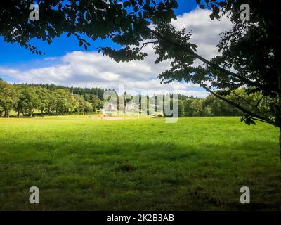 Altes Schloss und Feld rund um den See von Vassiviere Stockfoto