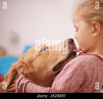 Küsse von meinem besten Freund. Ein kurzer Schuss eines goldenen Retriever leckt ein niedliches kleines Mädchen Gesicht. Stockfoto