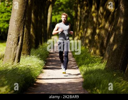 Nehmen Sie die malerische Route heute. Junger Mann, der auf einem bewaldeten Pfad joggt. Stockfoto