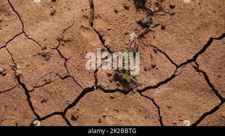 Klimawandel Dürre Land. Problem der globalen Erwärmung, rissiger Schlamm auf dem Grund eines Flusses Stockfoto