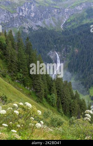 Typische Alpenlandschaft mit Wasserfällen (Niemerstafelbachfall), Schweizer Alpen bei Klausenstraße, Spiringen, Kanton Uri, Schweiz Stockfoto