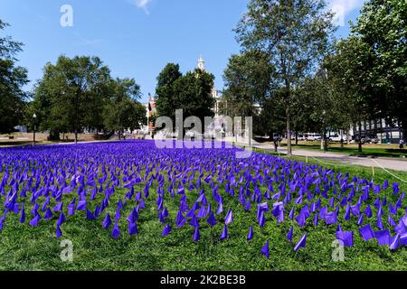 BOSTON, MASSACHUSETTS - 29. August 2022: Tausende von lila Fahnen werden vom State House auf der Liberty Mall von Boston Common gepflanzt, um diejenigen zu ehren, die d Stockfoto