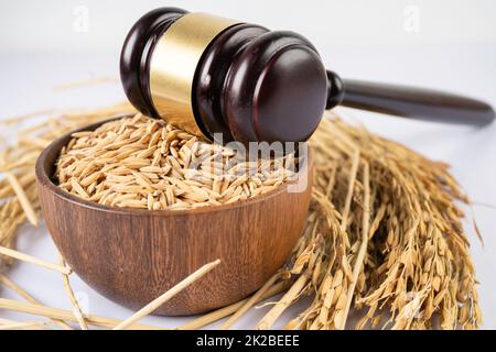 Beurteilen Sie den Hammer mit gutem Getreidreis von der landwirtschaftlichen Farm. Gesetz und Gericht Konzept. Stockfoto