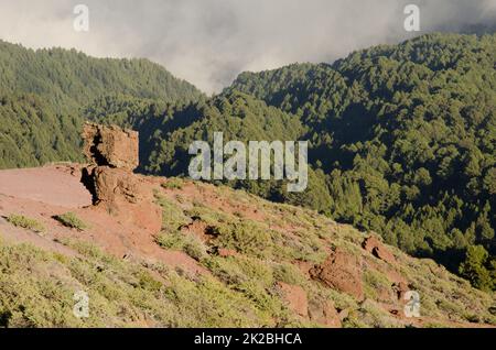 Felsige Klippen und Wald der Kanarischen Kiefern. Stockfoto