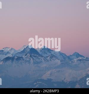 Rosafarbener Himmel über Eiger, Mönch und Jungfrau. Sonnenaufgang in den Schweizer Alpen. Stockfoto