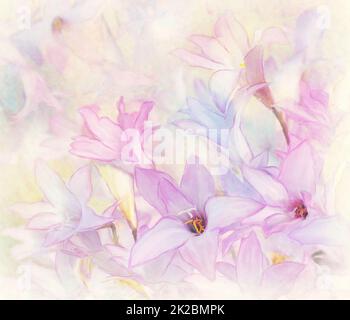 Blumenhintergrund - Wasserfarbe Stockfoto