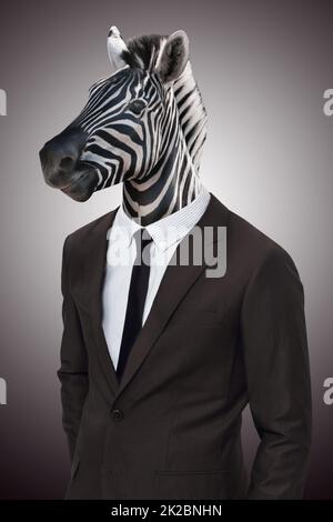 Verdienen Sie sich Ihre Streifen im Unternehmensdschungel. Studioportrait eines Geschäftsreisenden mit Zebrakopf. Stockfoto