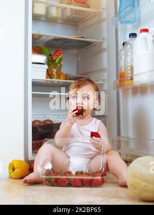 Kann nicht reden. Erdbeeren essen. Aufnahme eines Kleinkindes, das Lebensmittel aus dem Kühlschrank isst. Stockfoto