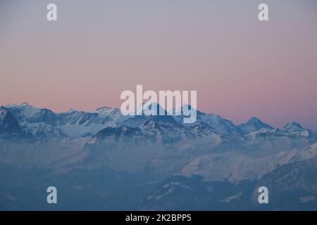 Rosafarbener Himmel über Eiger, Mönch und Jungfrau. Sonnenaufgang in den Schweizer Alpen. Stockfoto