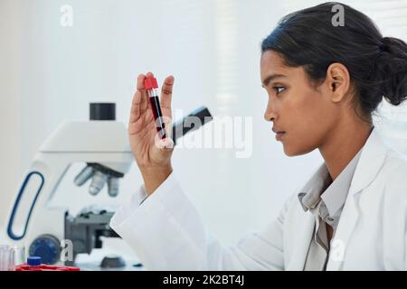 Bestimmung der Ursache ihres jüngsten medizinischen Falls. Ausgeschnittene Aufnahme einer jungen Wissenschaftlerin, die in einem Labor ein Reagenzglas untersucht. Stockfoto