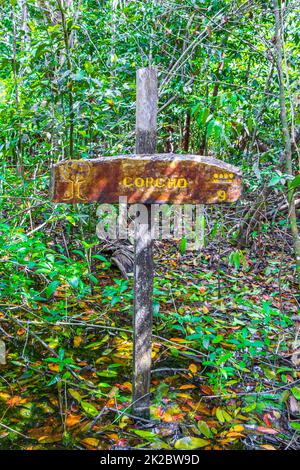 Informationen zum Sian Kaan Nationalpark Eingang willkommen Sing Board Mexiko. Stockfoto