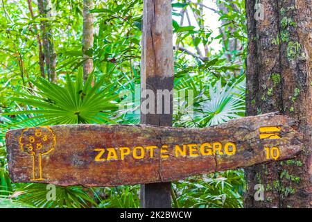 Informationen zum Sian Kaan Nationalpark Eingang willkommen Sing Board Mexiko. Stockfoto