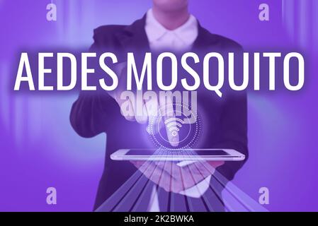 Schild mit Aedes-Moskitos. Ein Wort für die Gelbfieber-Mücke, die Dengue-Fieber verbreiten kann Lady drückt den Bildschirm des Mobiltelefons, der die futuristische Technologie zeigt Stockfoto