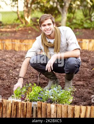 Begeistert, etwas Gemüse zu Pflanzen. Hübscher junger Kerl, der sich bereit machte, einige Sämlinge in seinem Gemüsegarten zu Pflanzen. Stockfoto