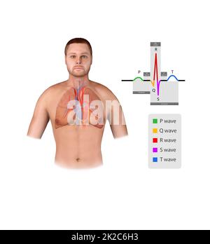 Symbol für EKG-Herzschlaglinie. Logo des Herzschlags-Puls-Krankenhauses. Abbildung. Isoliert auf weißem Hintergrund. Stockfoto