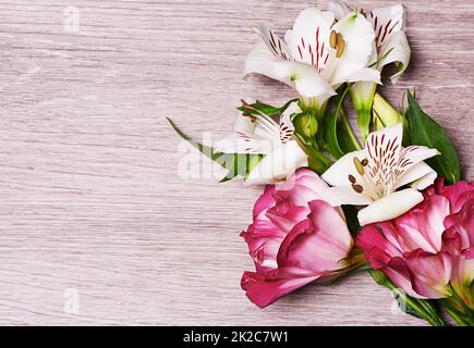 Blumen für jeden Anlass. Studioaufnahme von rosa und weißen Lilien. Stockfoto